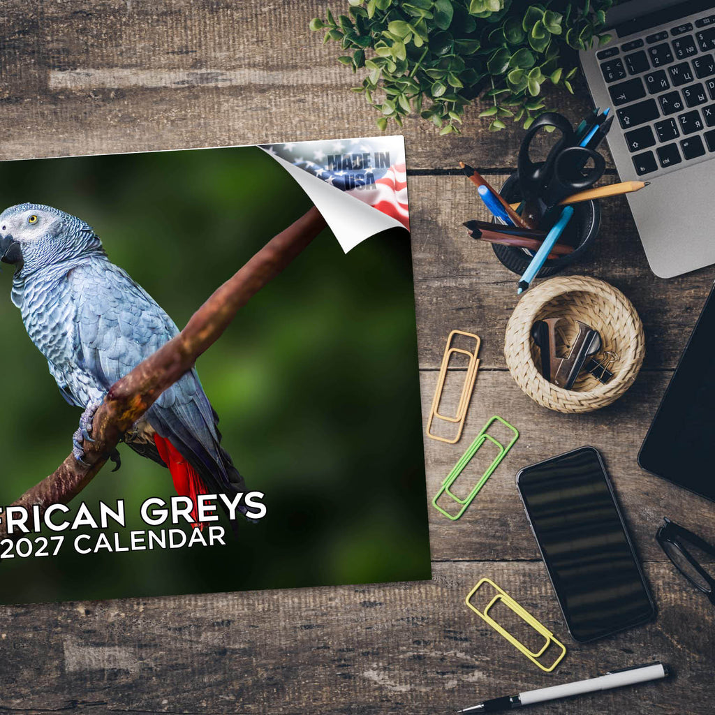 African Grey Parrots Wall Calendar 2027 - 12" x 9" 14-Month Tropical Bird Calendar
