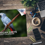 African Grey Parrots Wall Calendar 2027 - 12" x 9" 14-Month Tropical Bird Calendar