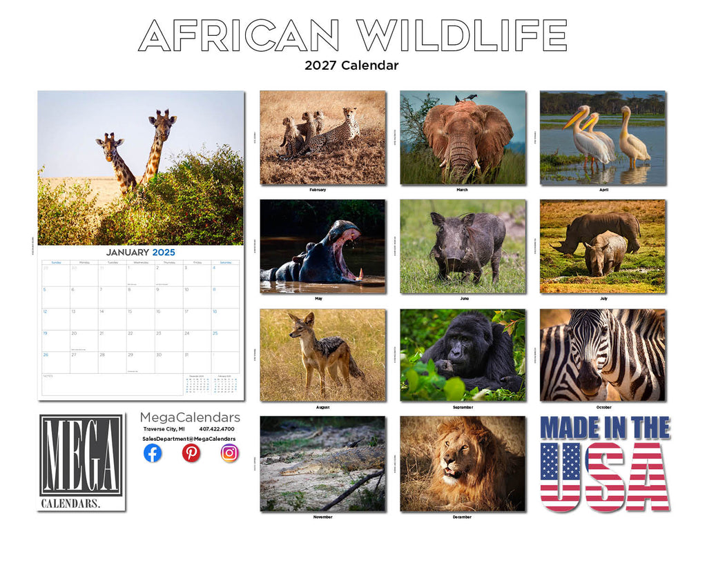 African Wildlife Wall Calendar 2027 - 12" x 9" 14-Month Safari Animal Calendar