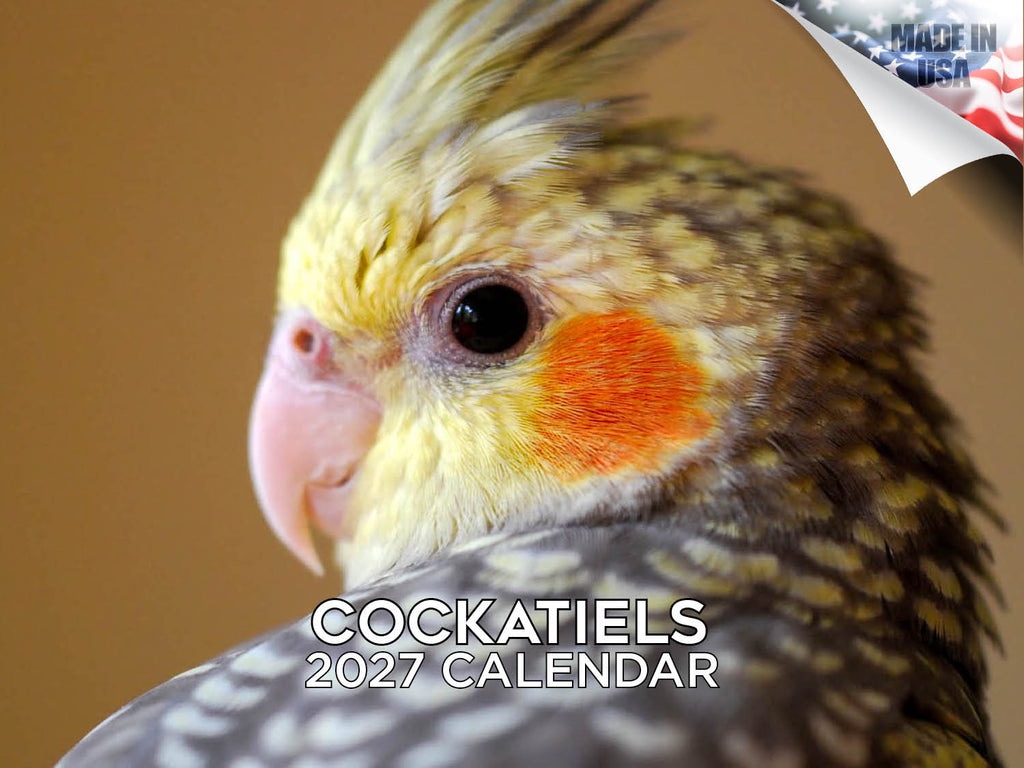 Cockatiels Wall Calendar 2027 - 12" x 9" 14-Month Tropical Bird Calendar