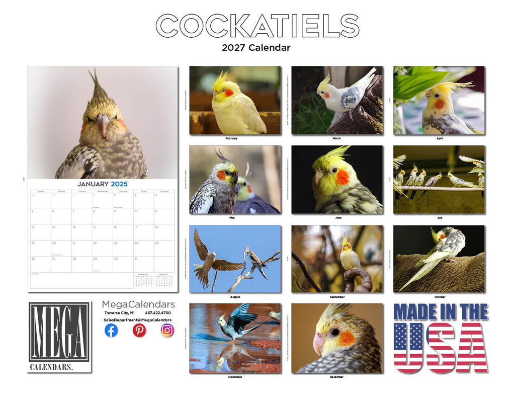 Cockatiels Wall Calendar 2027 - 12" x 9" 14-Month Tropical Bird Calendar