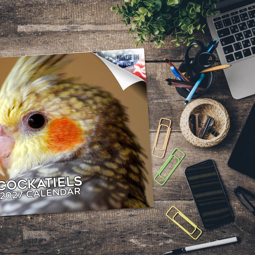 Cockatiels Wall Calendar 2027 - 12" x 9" 14-Month Tropical Bird Calendar