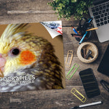 Cockatiels Wall Calendar 2027 - 12" x 9" 14-Month Tropical Bird Calendar