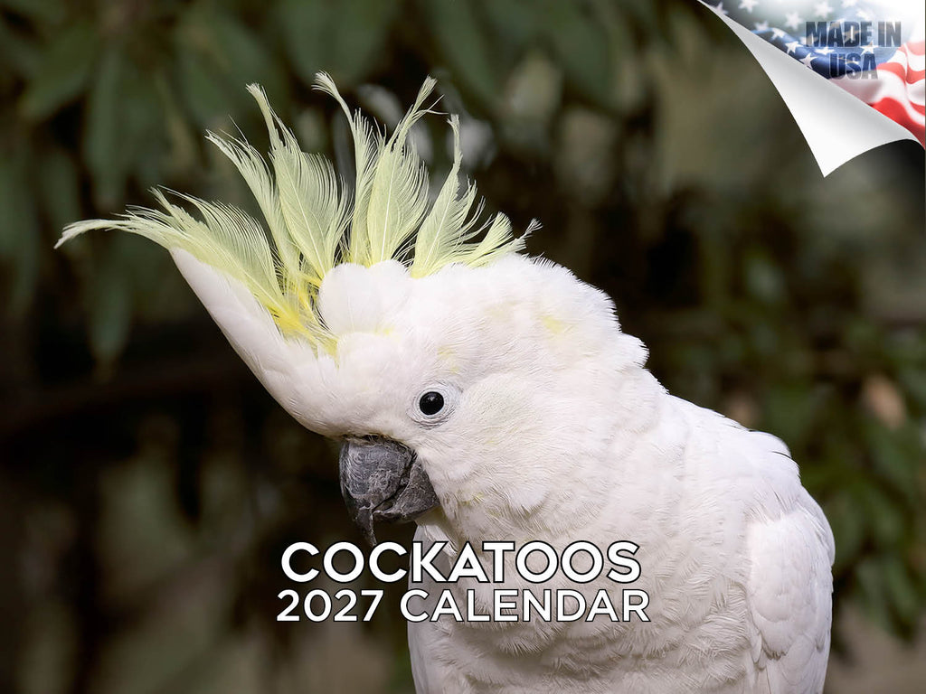 Cockatoos Wall Calendar 2027 - 12" x 9" 14-Month Tropical Bird Calendar