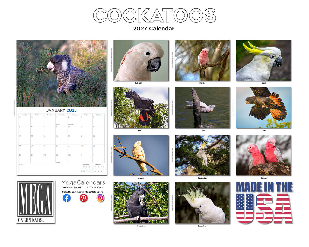 Cockatoos Wall Calendar 2027 - 12" x 9" 14-Month Tropical Bird Calendar