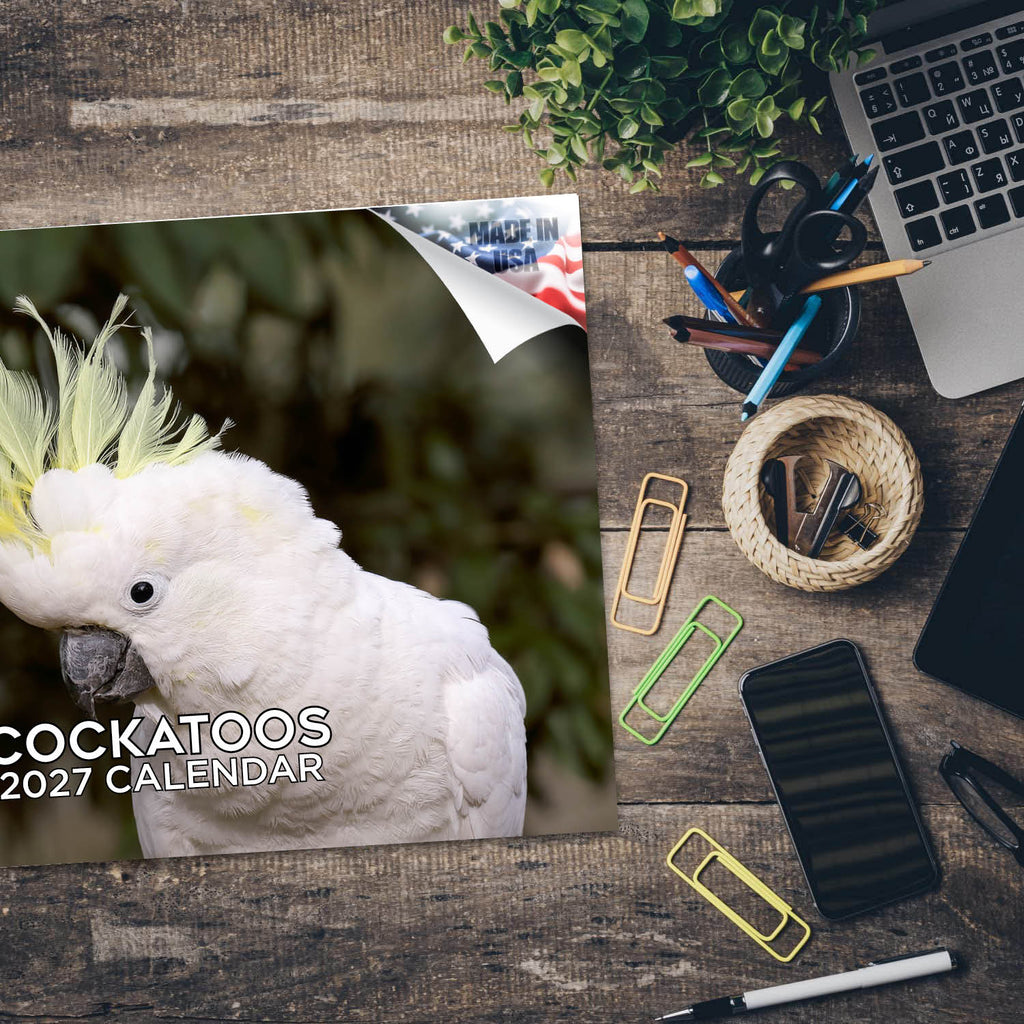 Cockatoos Wall Calendar 2027 - 12" x 9" 14-Month Tropical Bird Calendar