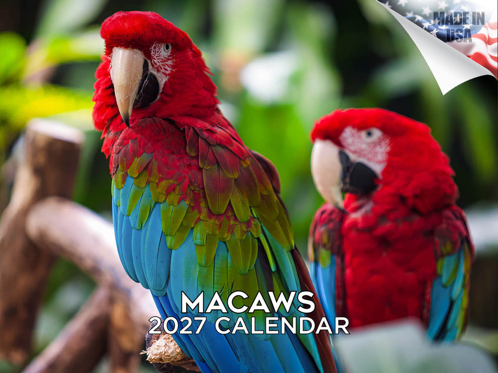Macaws Wall Calendar 2027 - 12" x 9" 14-Month Tropical Bird Calendar