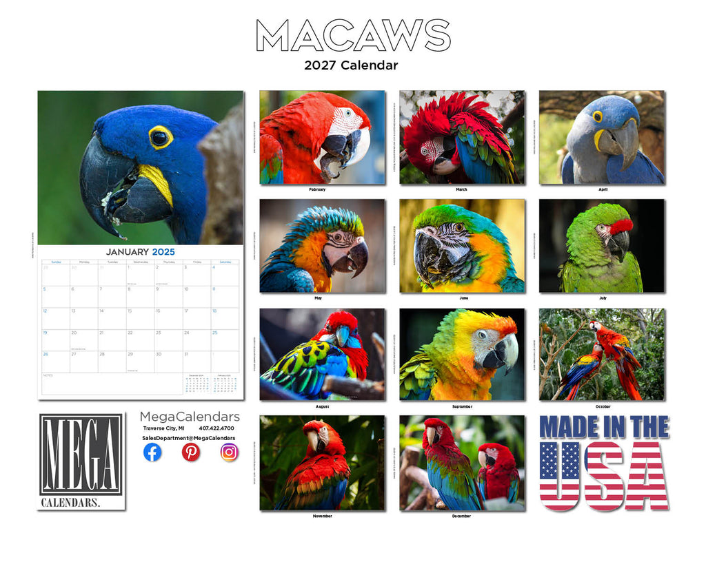 Macaws Wall Calendar 2027 - 12" x 9" 14-Month Tropical Bird Calendar