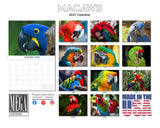 Macaws Wall Calendar 2027 - 12" x 9" 14-Month Tropical Bird Calendar