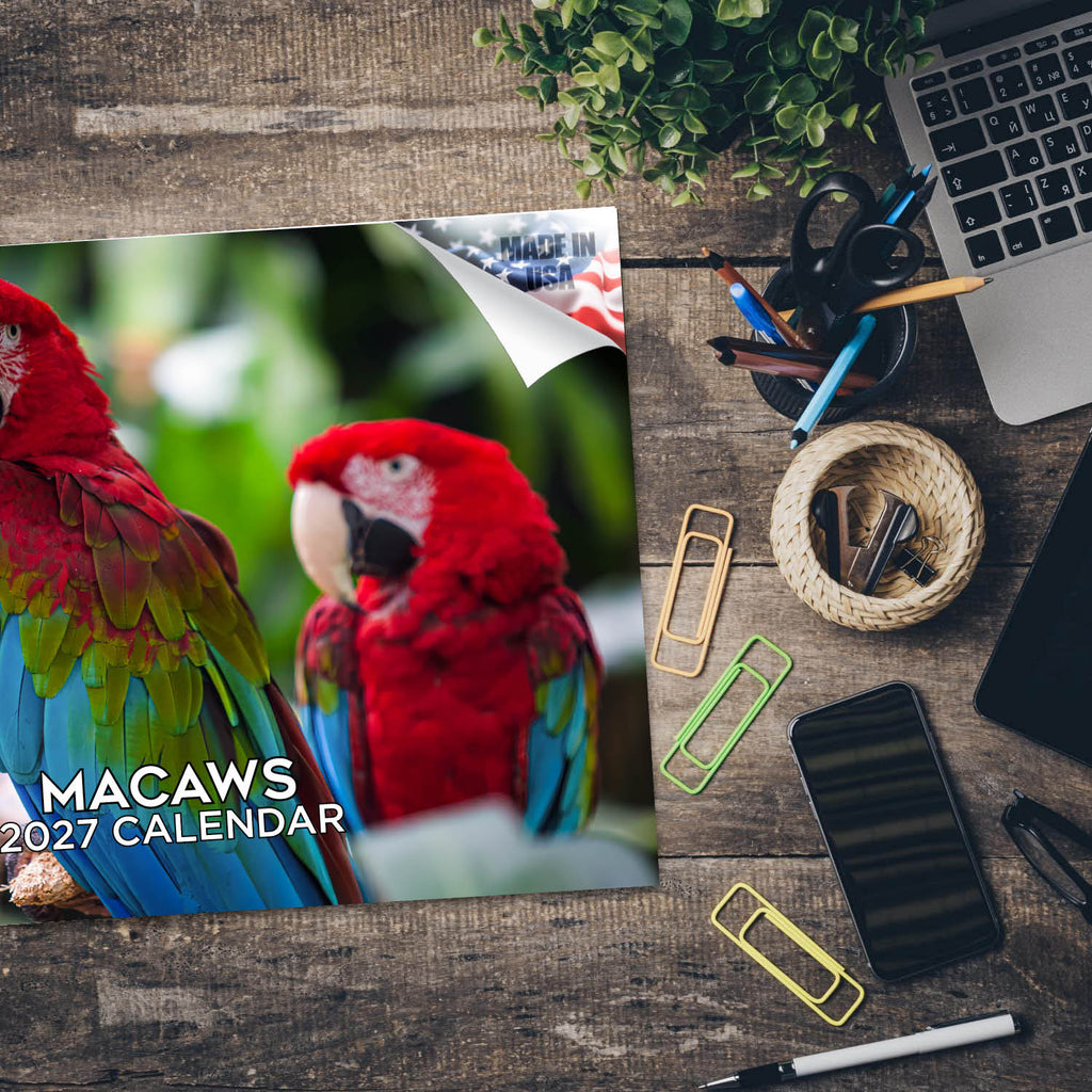 Macaws Wall Calendar 2027 - 12" x 9" 14-Month Tropical Bird Calendar