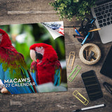 Macaws Wall Calendar 2027 - 12" x 9" 14-Month Tropical Bird Calendar