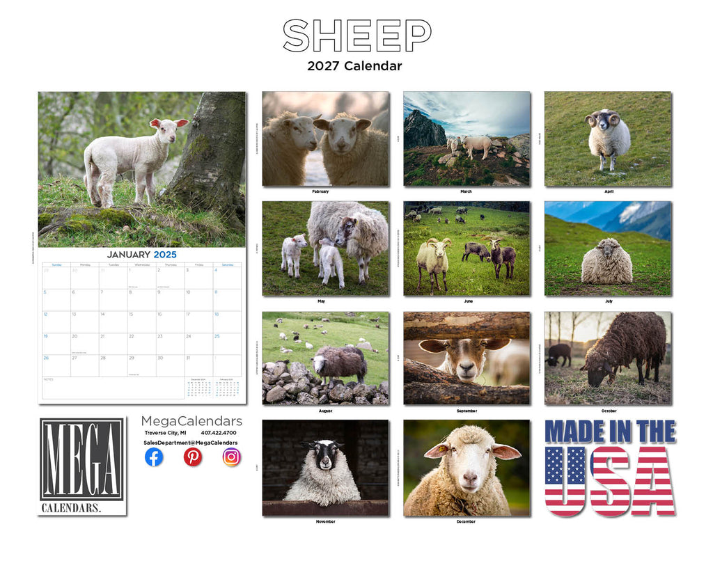 Sheep Wall Calendar 2027 - 12" x 9" 14-Month Farm Animal Calendar