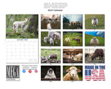 Sheep Wall Calendar 2027 - 12" x 9" 14-Month Farm Animal Calendar