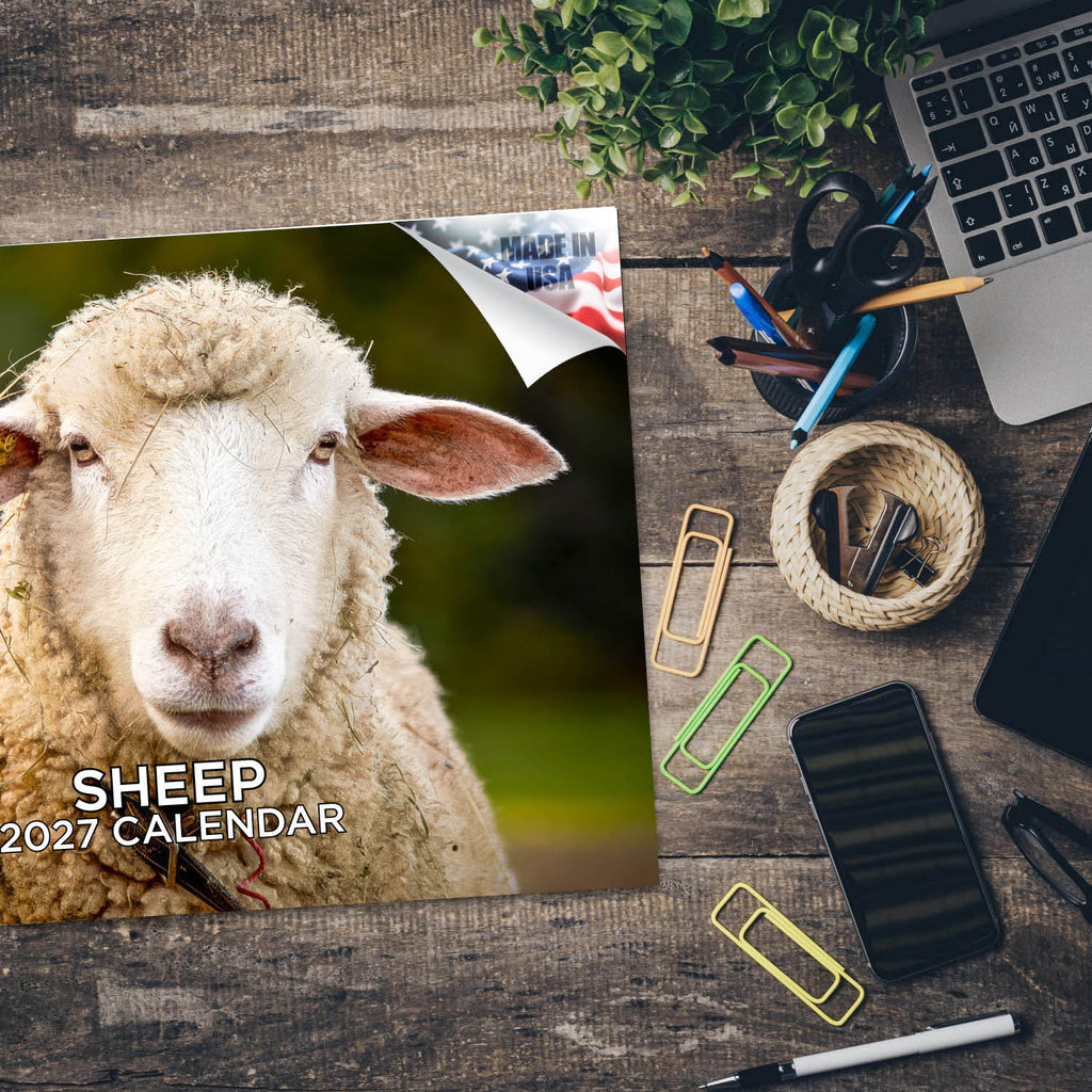 Sheep Wall Calendar 2027 - 12" x 9" 14-Month Farm Animal Calendar