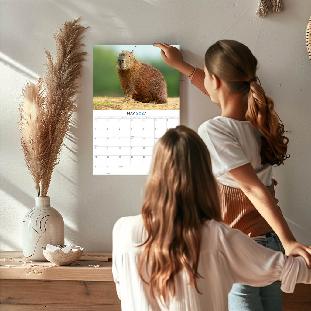 Capybara Wall Calendar 2027 - 12" x 9" 14-Month Rare Animal Wildlife Calendar