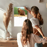 Capybara Wall Calendar 2027 - 12" x 9" 14-Month Rare Animal Wildlife Calendar