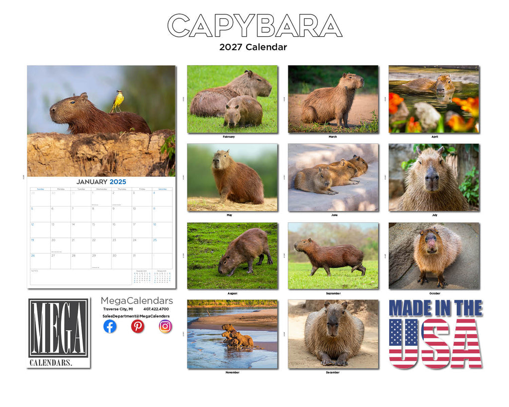 Capybara Wall Calendar 2027 - 12" x 9" 14-Month Rare Animal Wildlife Calendar