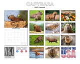 Capybara Wall Calendar 2027 - 12" x 9" 14-Month Rare Animal Wildlife Calendar
