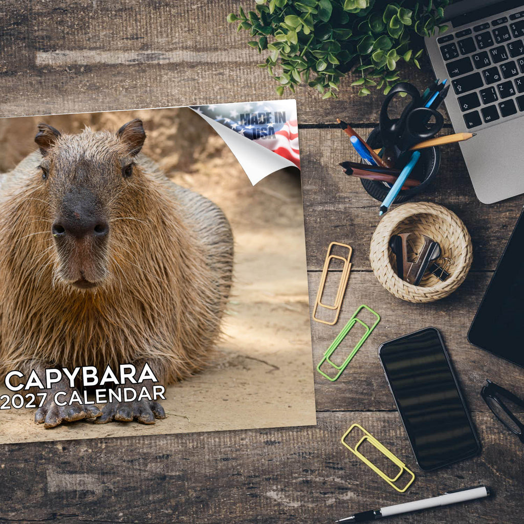 Capybara Wall Calendar 2027 - 12" x 9" 14-Month Rare Animal Wildlife Calendar