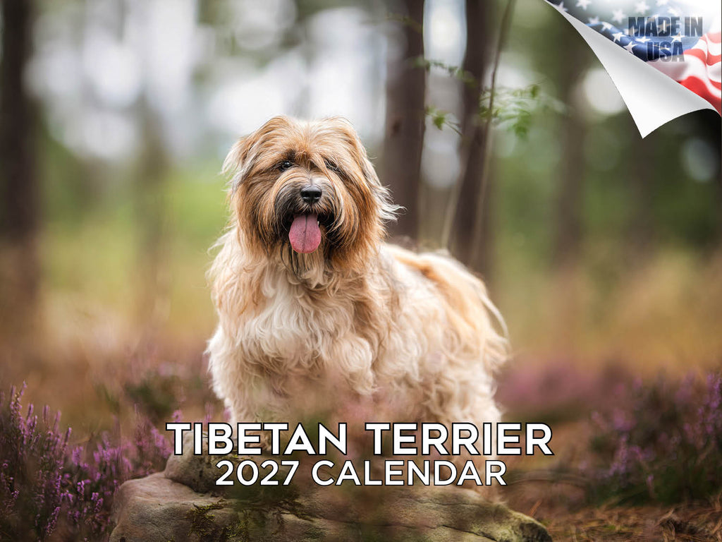 Tibetan Terrier Wall Calendar 2027 - 12" x 9" 14-Month Dog Breed Calendar