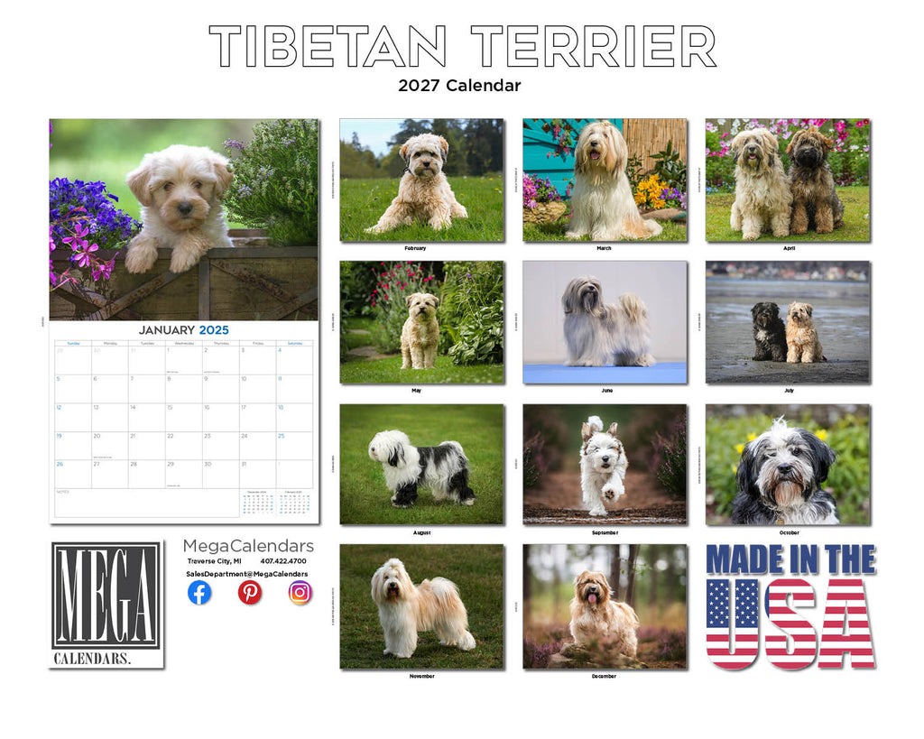 Tibetan Terrier Wall Calendar 2027 - 12" x 9" 14-Month Dog Breed Calendar