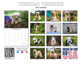Tibetan Terrier Wall Calendar 2027 - 12" x 9" 14-Month Dog Breed Calendar