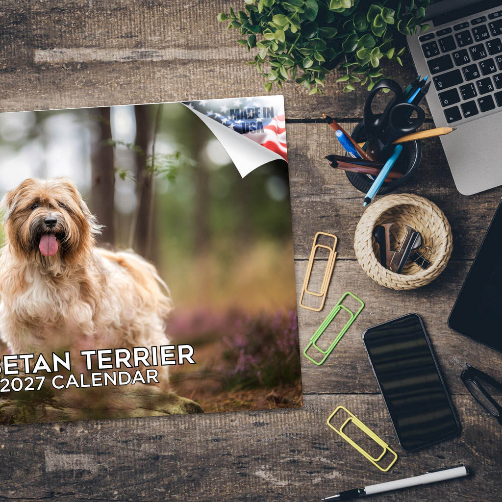 Tibetan Terrier Wall Calendar 2027 - 12" x 9" 14-Month Dog Breed Calendar