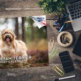 Tibetan Terrier Wall Calendar 2027 - 12" x 9" 14-Month Dog Breed Calendar