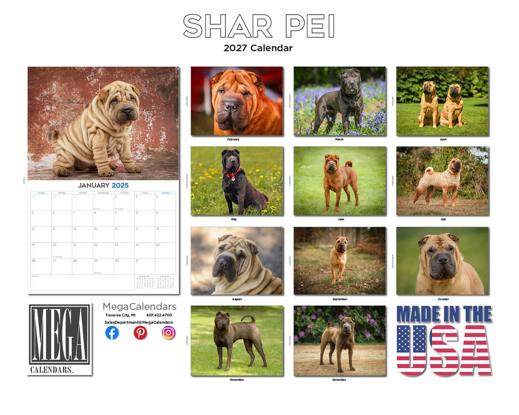 Shar Pei Wall Calendar 2027 - 12" x 9" 14-Month Dog Breed Calendar