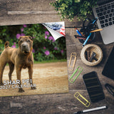 Shar Pei Wall Calendar 2027 - 12" x 9" 14-Month Dog Breed Calendar