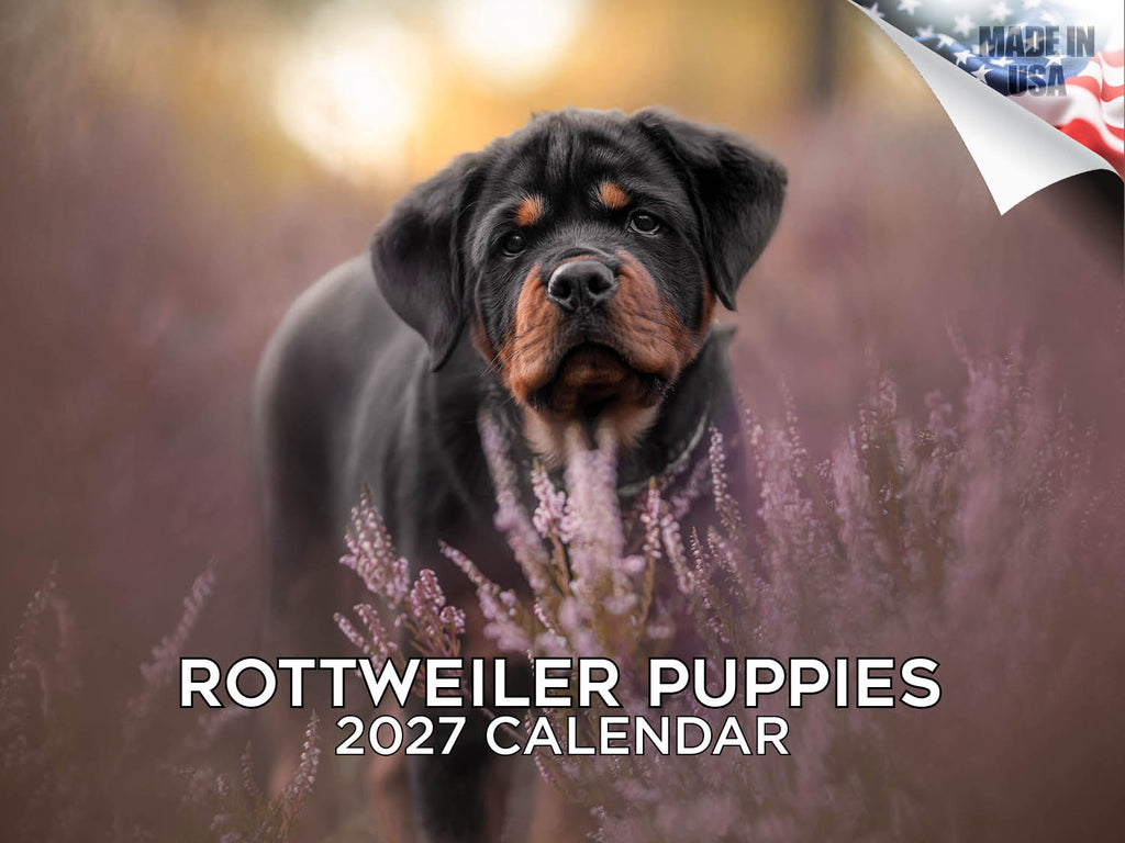 Rottweiler Puppy Wall Calendar 2027 - 12" x 9" 14-Month Dog Breed Calendar