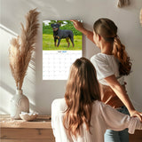Rottweiler Puppy Wall Calendar 2027 - 12" x 9" 14-Month Dog Breed Calendar