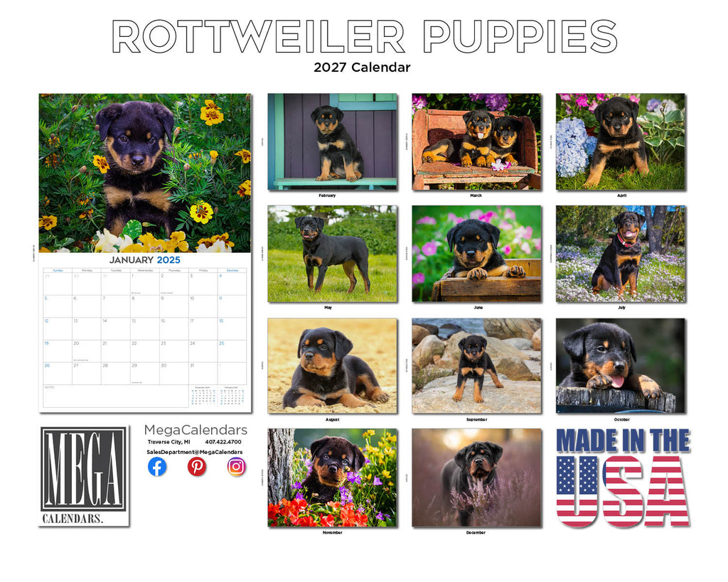 Rottweiler Puppy Wall Calendar 2027 - 12" x 9" 14-Month Dog Breed Calendar