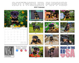 Rottweiler Puppy Wall Calendar 2027 - 12" x 9" 14-Month Dog Breed Calendar