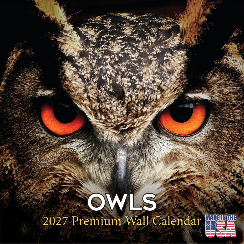 Owls Wall Calendar 2027 - 12" x 12" Monthly Majestic Raptors & Wise Nocturnal Bird Calendar