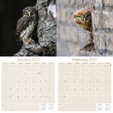 Owls Wall Calendar 2027 - 12" x 12" Monthly Majestic Raptors & Wise Nocturnal Bird Calendar