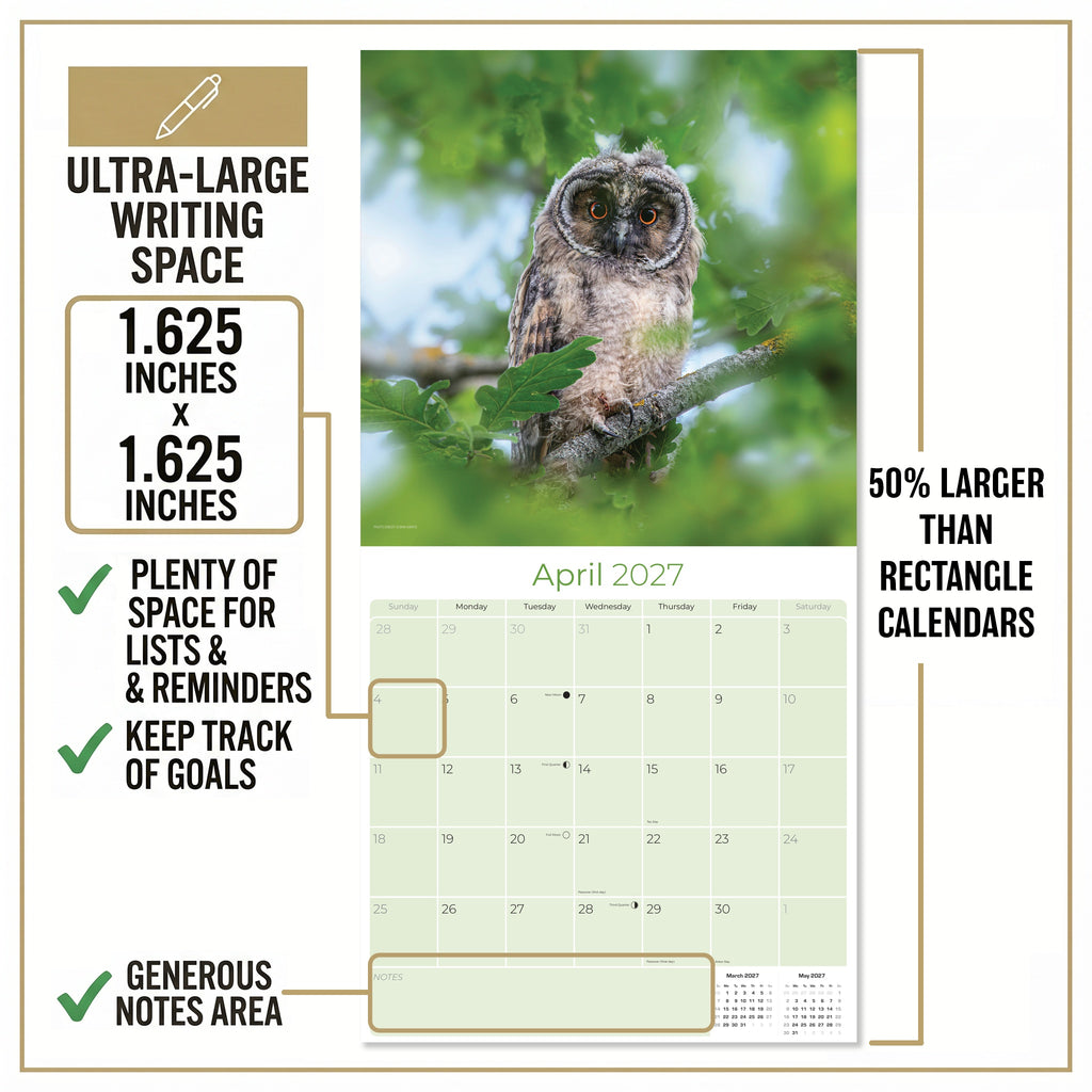 Owls Wall Calendar 2027 - 12" x 12" Monthly Majestic Raptors & Wise Nocturnal Bird Calendar