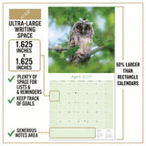 Owls Wall Calendar 2027 - 12" x 12" Monthly Majestic Raptors & Wise Nocturnal Bird Calendar