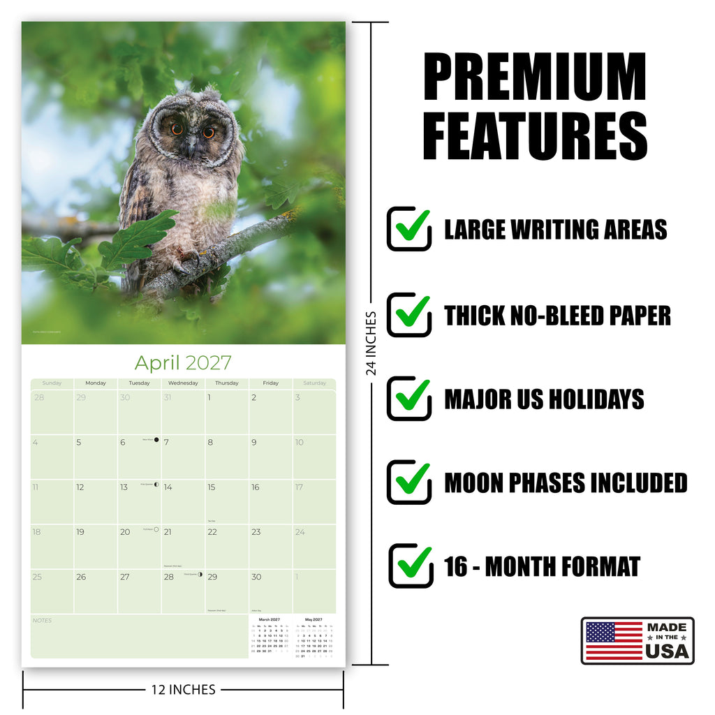 Owls Wall Calendar 2027 - 12" x 12" Monthly Majestic Raptors & Wise Nocturnal Bird Calendar