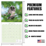 Owls Wall Calendar 2027 - 12" x 12" Monthly Majestic Raptors & Wise Nocturnal Bird Calendar