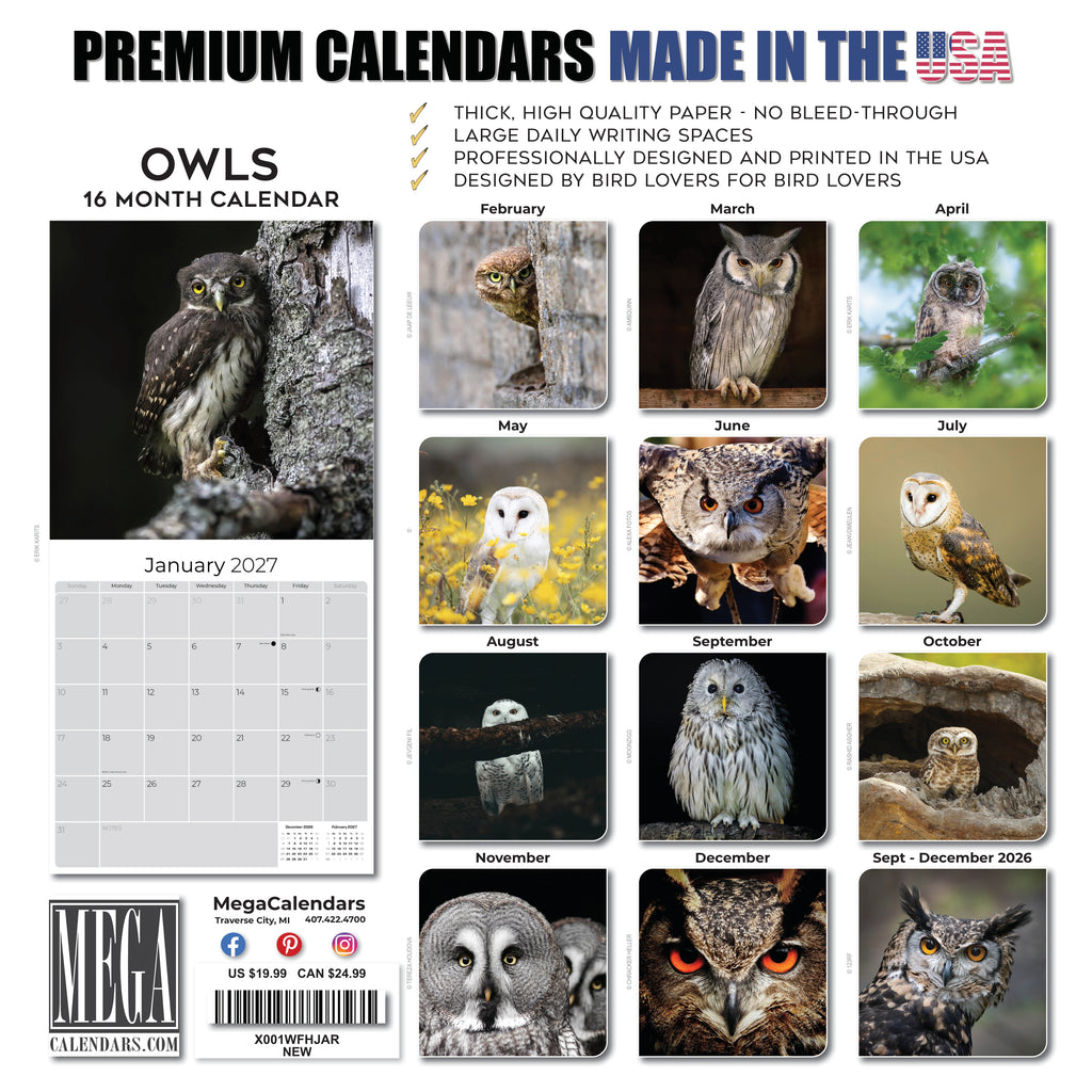 Owls Wall Calendar 2027 - 12" x 12" Monthly Majestic Raptors & Wise Nocturnal Bird Calendar