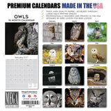 Owls Wall Calendar 2027 - 12" x 12" Monthly Majestic Raptors & Wise Nocturnal Bird Calendar