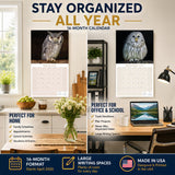 Owls Wall Calendar 2027 - 12" x 12" Monthly Majestic Raptors & Wise Nocturnal Bird Calendar