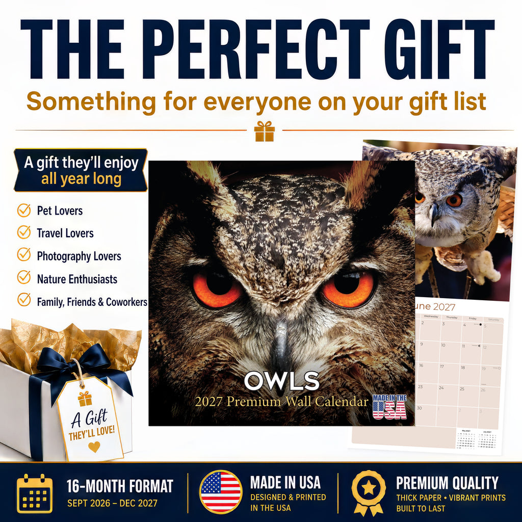Owls Wall Calendar 2027 - 12" x 12" Monthly Majestic Raptors & Wise Nocturnal Bird Calendar
