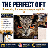 Owls Wall Calendar 2027 - 12" x 12" Monthly Majestic Raptors & Wise Nocturnal Bird Calendar