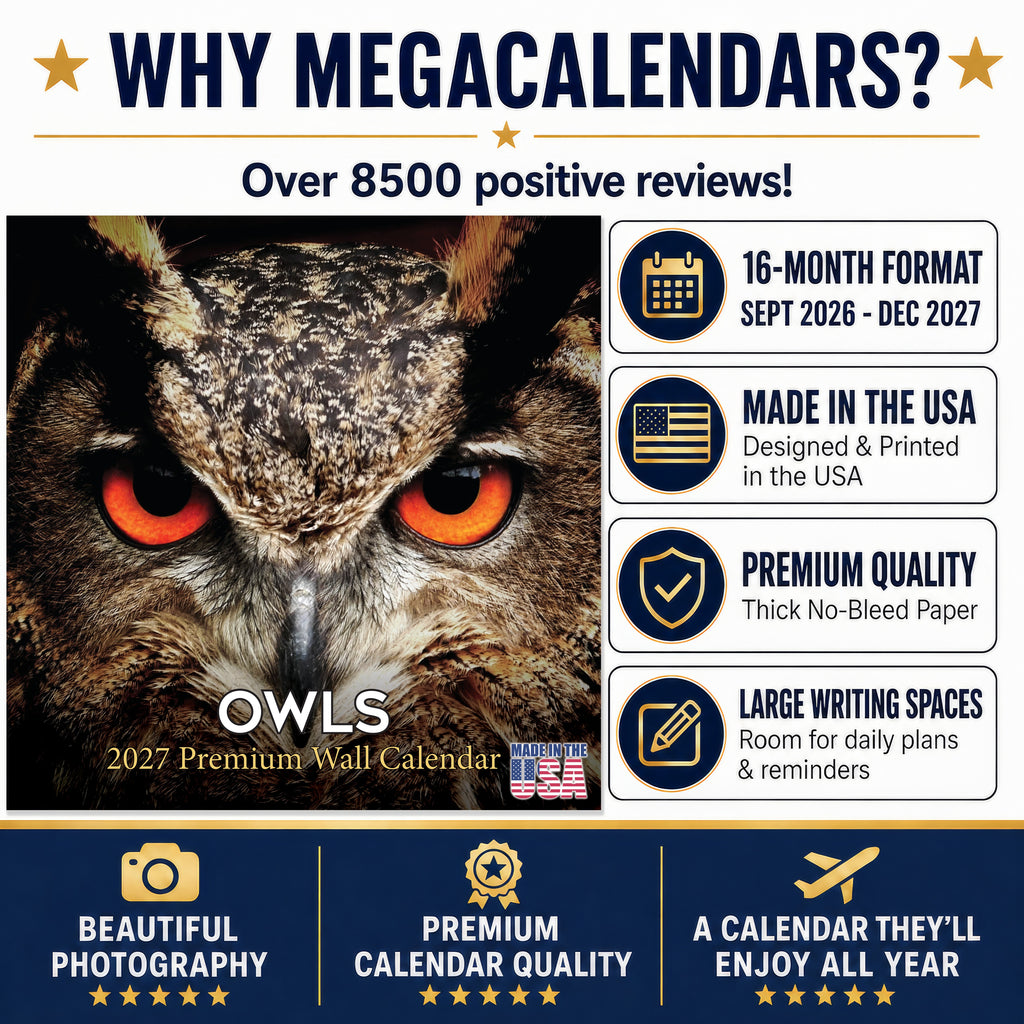 Owls Wall Calendar 2027 - 12" x 12" Monthly Majestic Raptors & Wise Nocturnal Bird Calendar