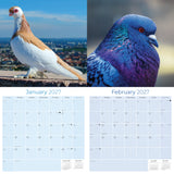 Pigeons Wall Calendar 2027
