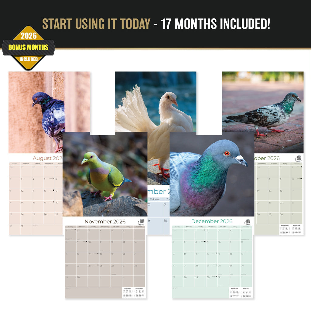 Pigeons Wall Calendar 2027