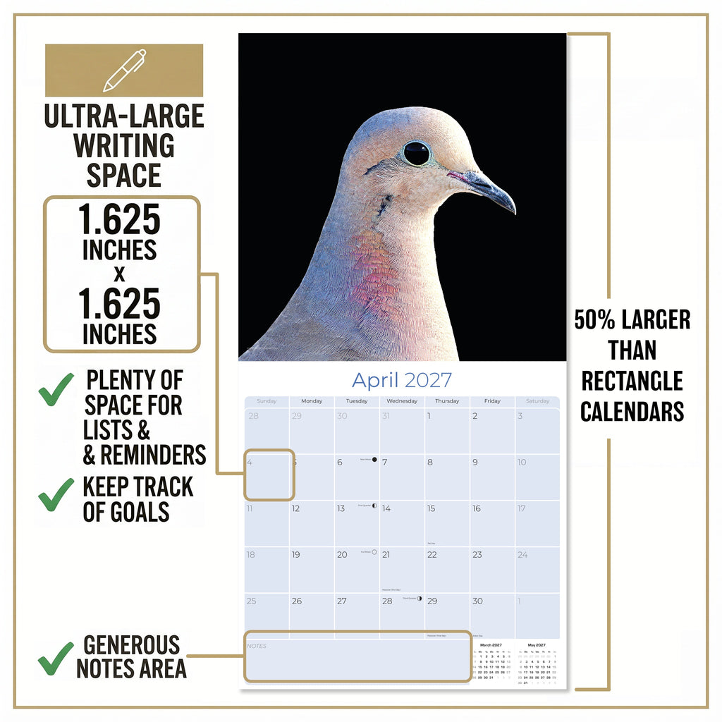 Pigeons Wall Calendar 2027