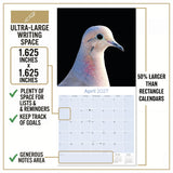 Pigeons Wall Calendar 2027